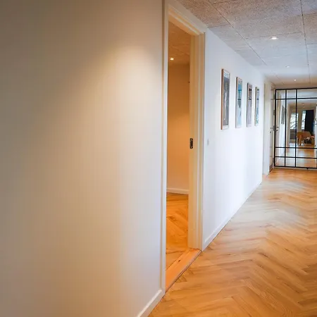 Penthouse Lejlighed
